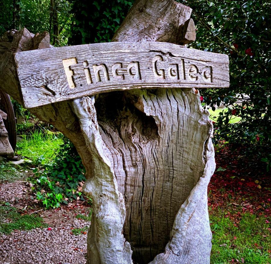 Galea Country house